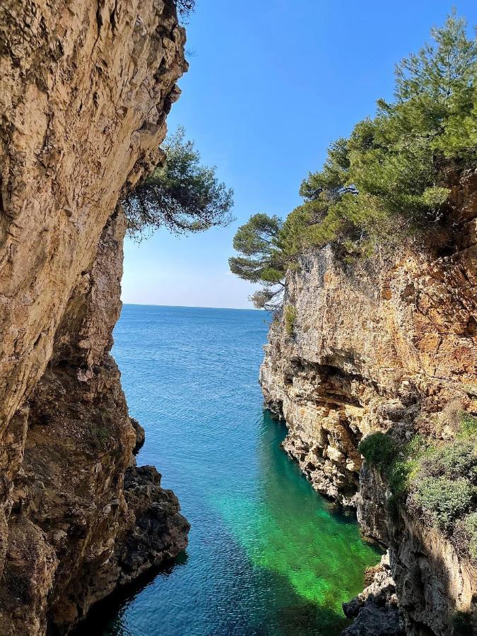 Holiday Home Bukovac بولا المظهر الخارجي الصورة